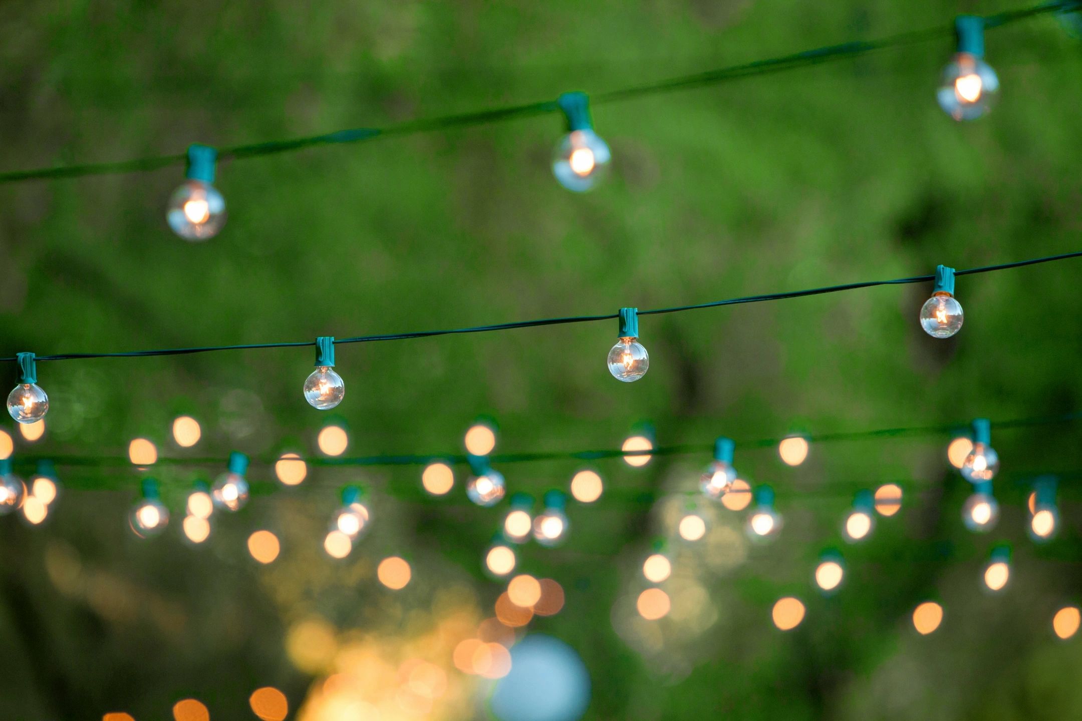 strands of lights hanging outdoors, boku effect